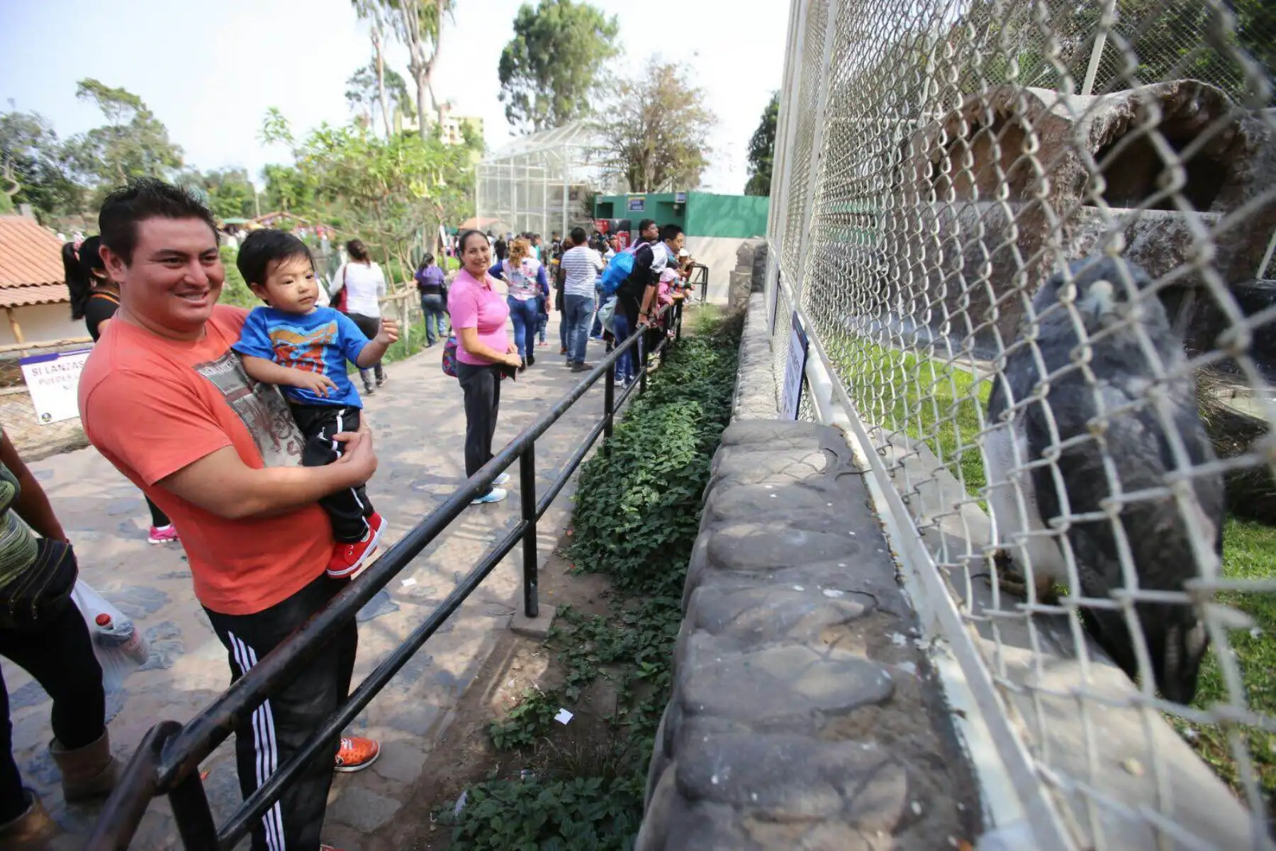 Padres tendrán un día diferente en el Parque de las Leyendas. Foto: Difusión