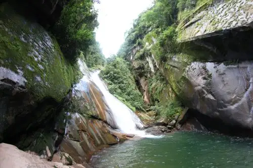 El objetivo de la propuesta es conservar las especies de flora y fauna de los bosques húmedos del Ucayali, Yungas peruanas y río Amazonas y Bosques inundables.ANDINA