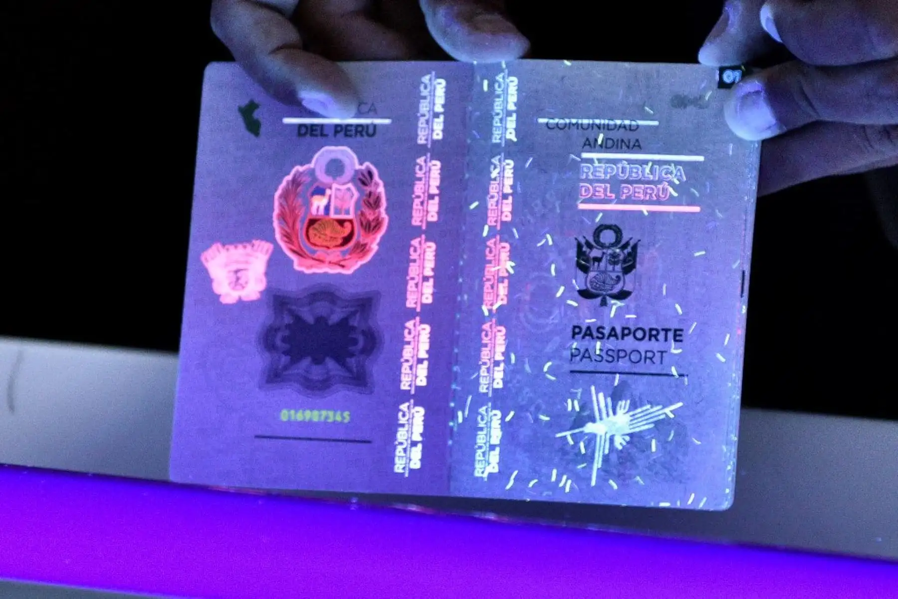 Pasaporte peruano gana premio al mejor documento de identidad de América Latina 2016. Foto: ANDINA/Difusión.