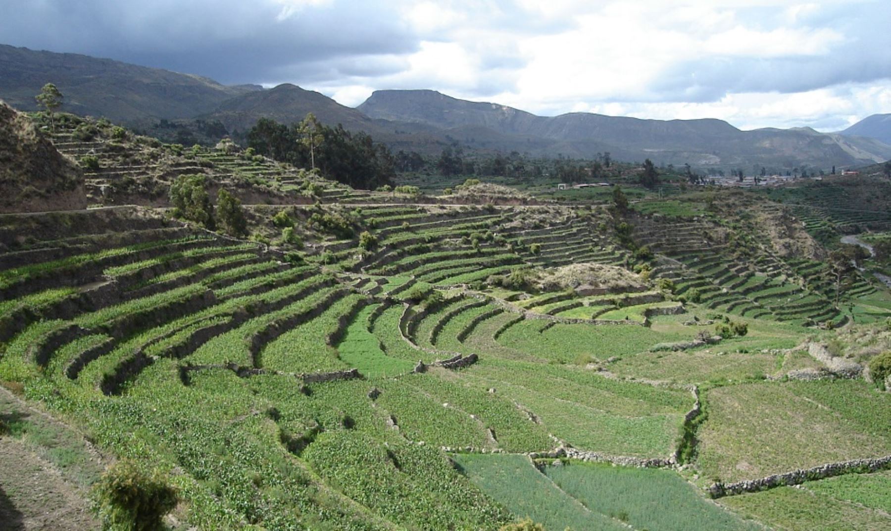 Una de las estrategias que está permitiendo al Perú enfrentar con buenos resultados el impacto del cambio climático y la escasa disponibilidad de agua para la agricultura y el consumo humano, es la “siembra y cosecha de agua”, una de las máximas expresiones de la cultura hídrica andina ancestral que permitió garantizar la sostenibilidad agrícola.