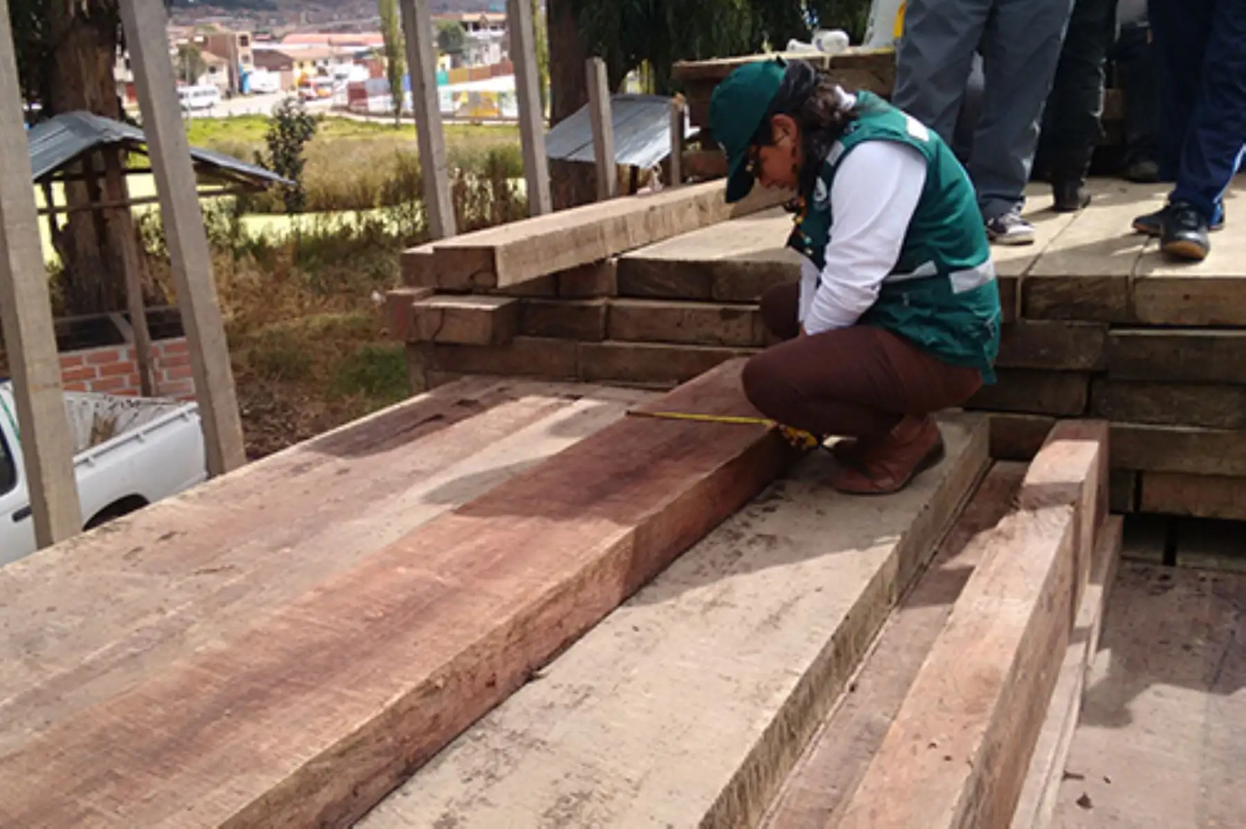 En 2018 Serfor incautó madera equivalente a la carga de 76 camiones. ANDINA/Difusión