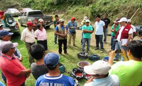 Foto: ANDINA/Difusión.