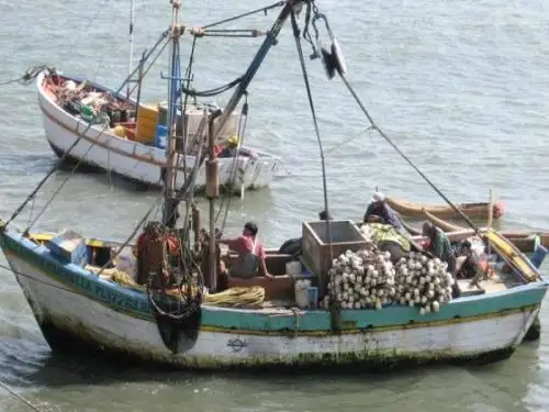 Pesca artesanal. ANDINA/Difusión