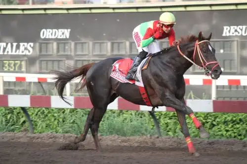Hipódromo de Monterrico. Difusión