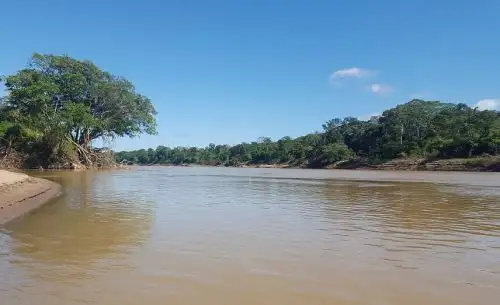 Área de Conservación Privada Ebio Kiabamene, en Madre de Dios