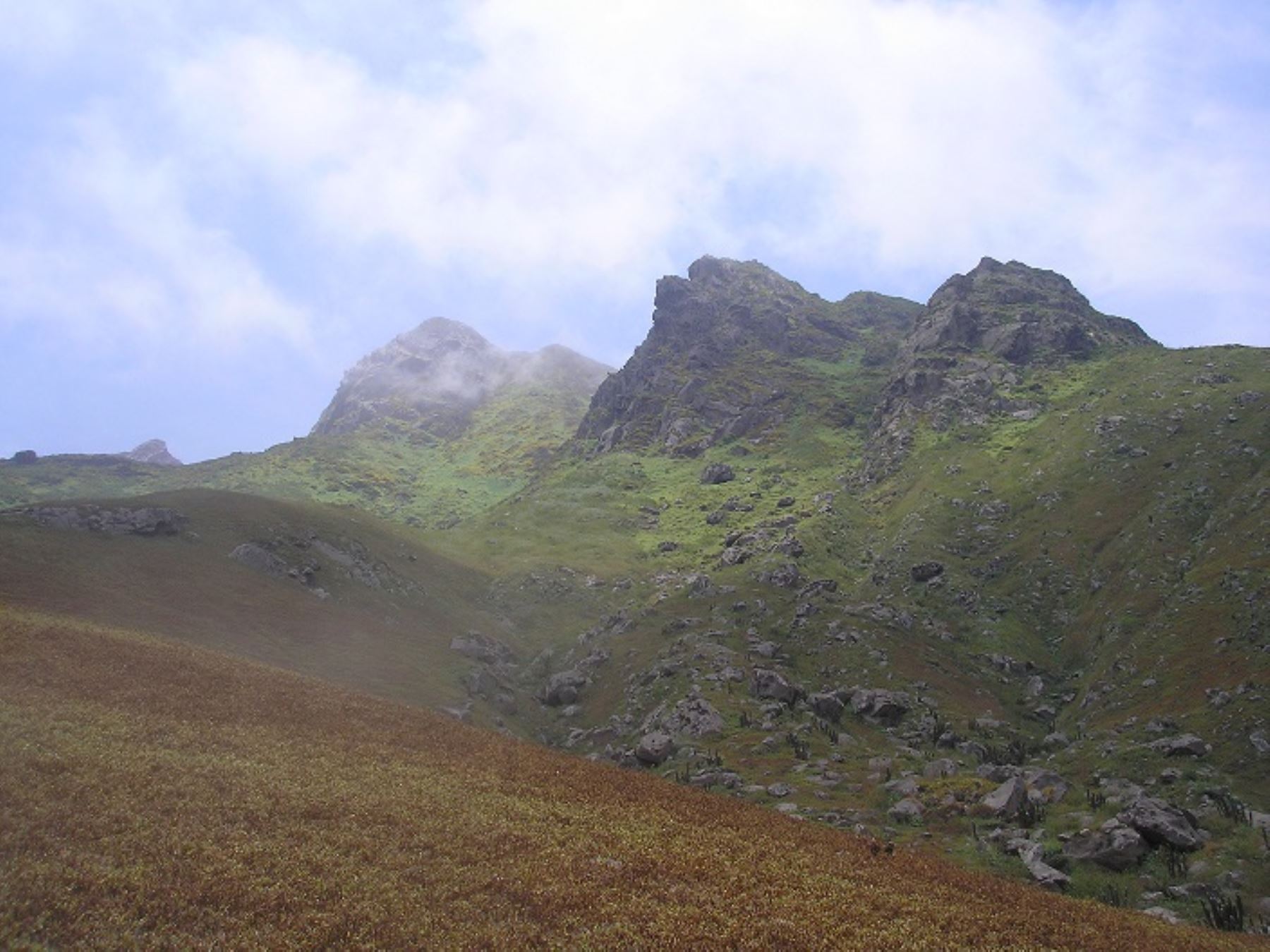 Área de Conservación Privada Lomas del Cerro Campana, ubicada entre las provincias de Trujillo y Ascope en la región de La Libertad.