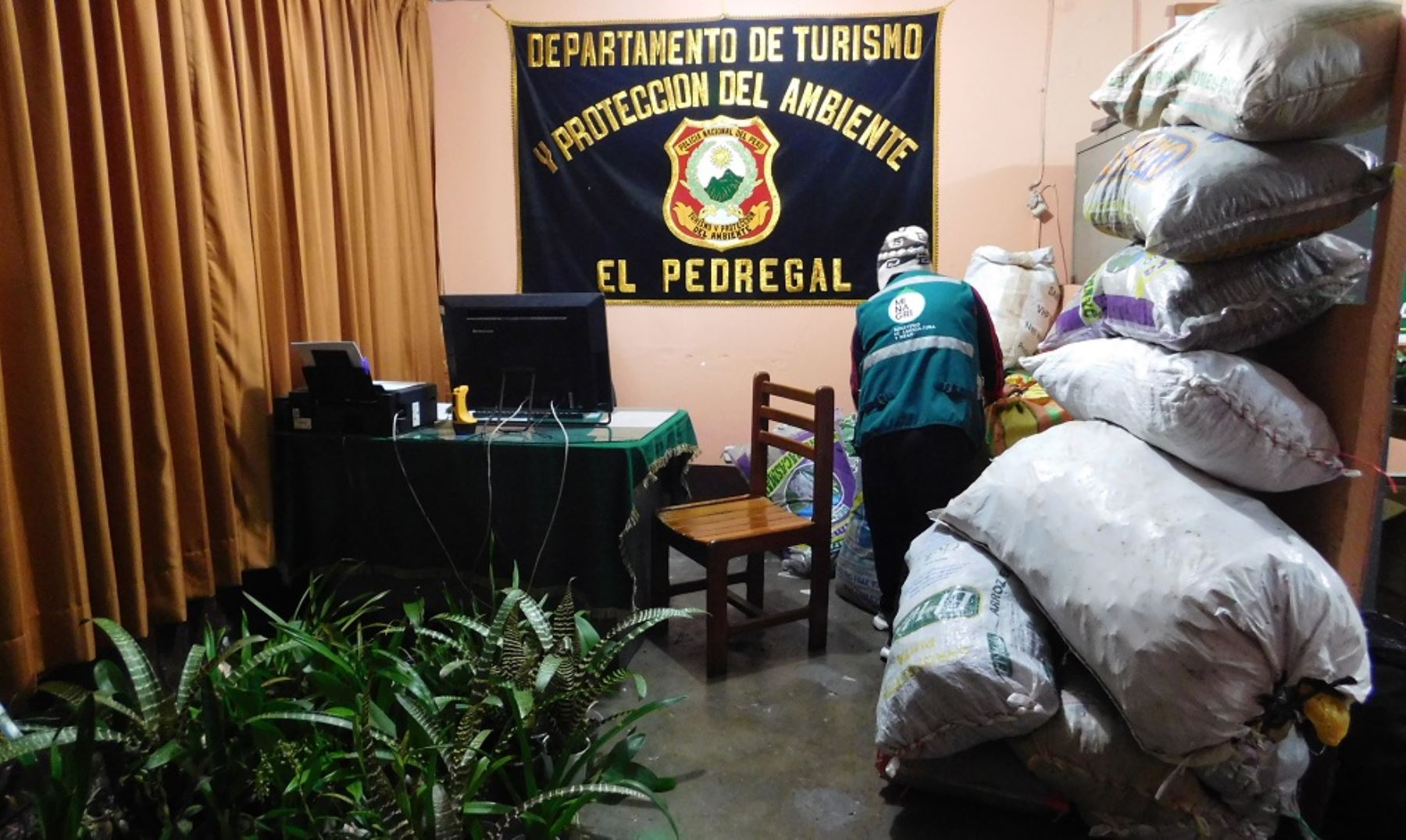 Personal de la Administración Técnica Forestal y de Fauna Silvestre (ATFFS) Selva Central y miembros de la Policía Nacional del Perú encontraron 50 ejemplares de orquídeas valorizados en más de 15,000 soles, que habían sido abandonados en la carretera Central.
