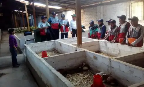 En el marco del convenio entre el Instituto Nacional de Innovación Agraria (INIA) y el Fondo de Cooperación para el Desarrollo Social (Foncodes), más de 20 agricultores líderes, llamados "Yachachiqs", de la Unidad Territorial ubicada en Huánuco se capacitaron en manejo tecnificado de cultivos y crianzas.
