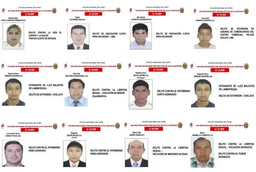 Foto: ANDINA/Difusión.