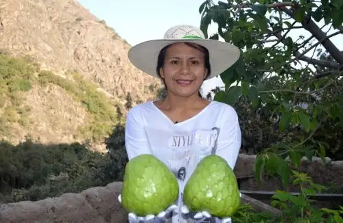 Cortesía