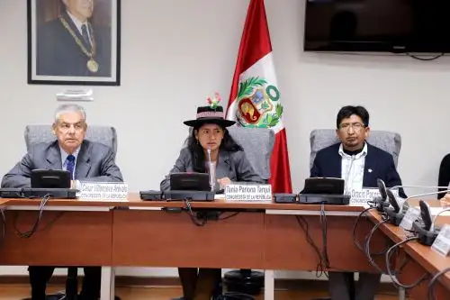 Congresista Tania Pariona (FA) coordinadora del Grupo Parlamentario Indígena.