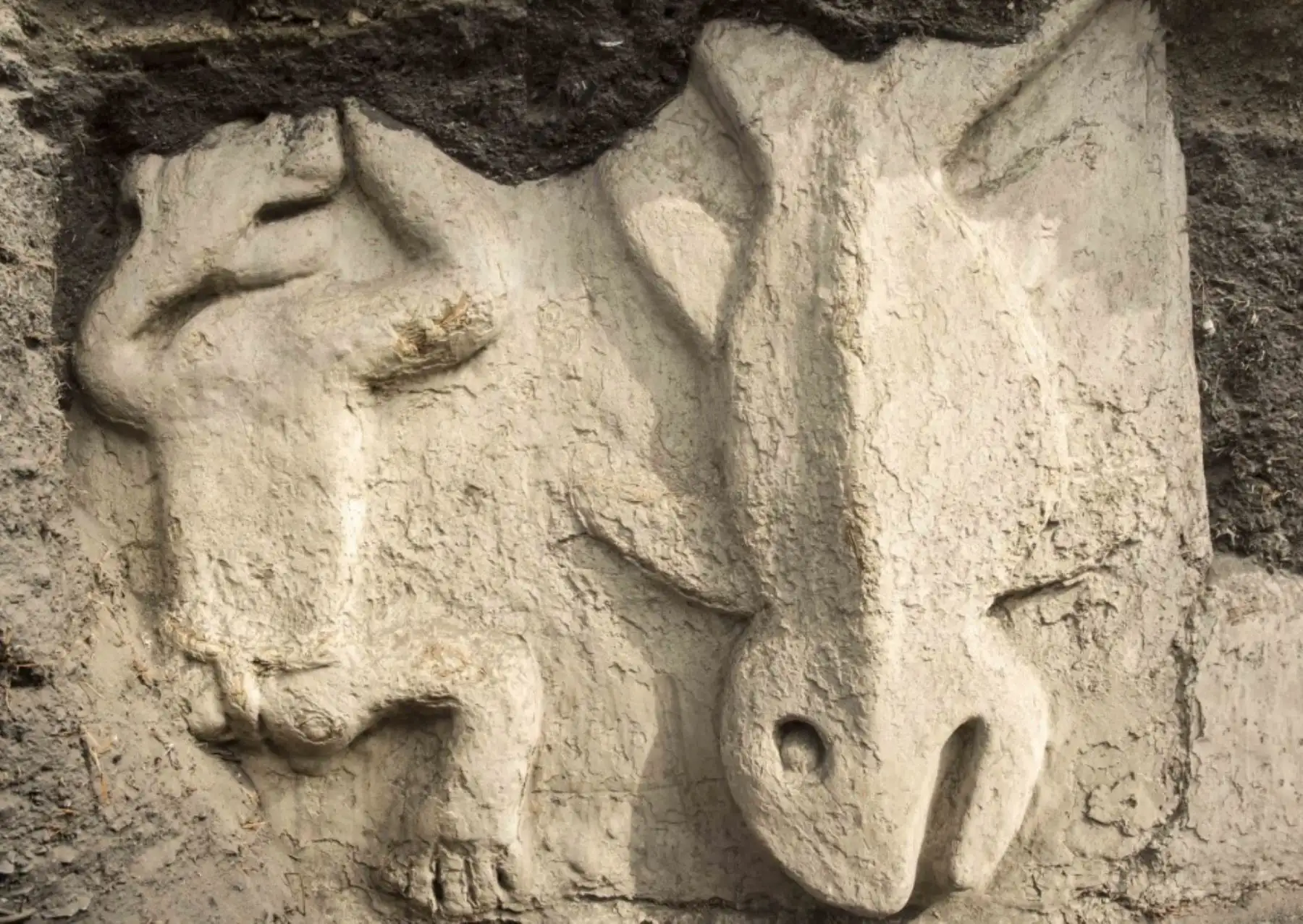Figuras en altorelieve descubiertas en complejo arqueológico Vichama.