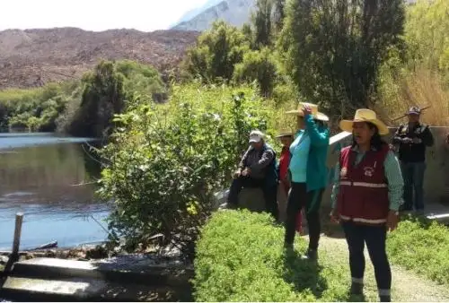 ANA culmina delimitación de fajas marginales de los ríos de Moquegua. ANDINA/Difusión
