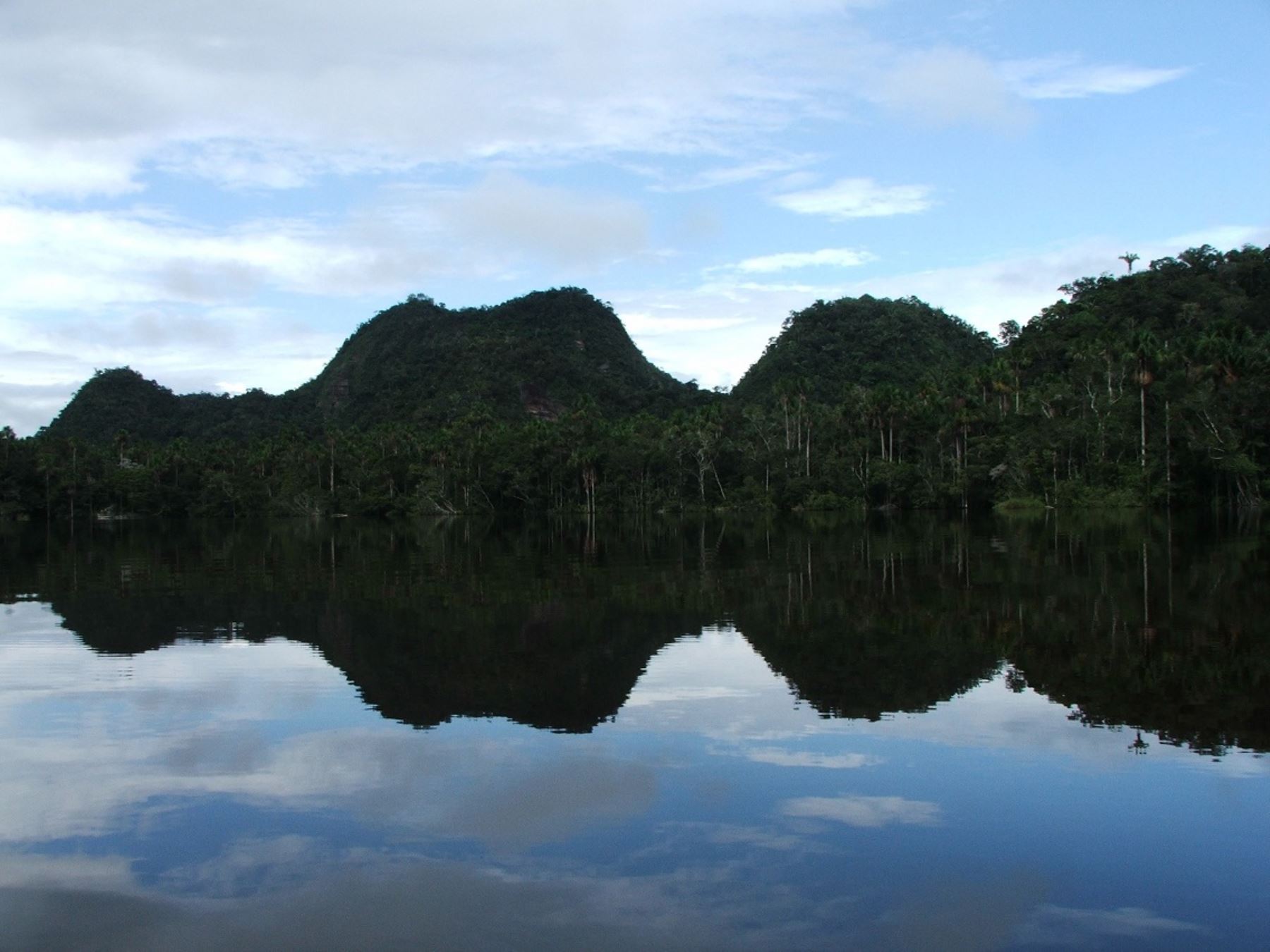 Parque Nacional Cordillera Azul. Foto: ANDINA/Difusión