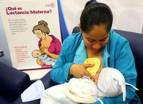 Foto: ANDINA/Difusión