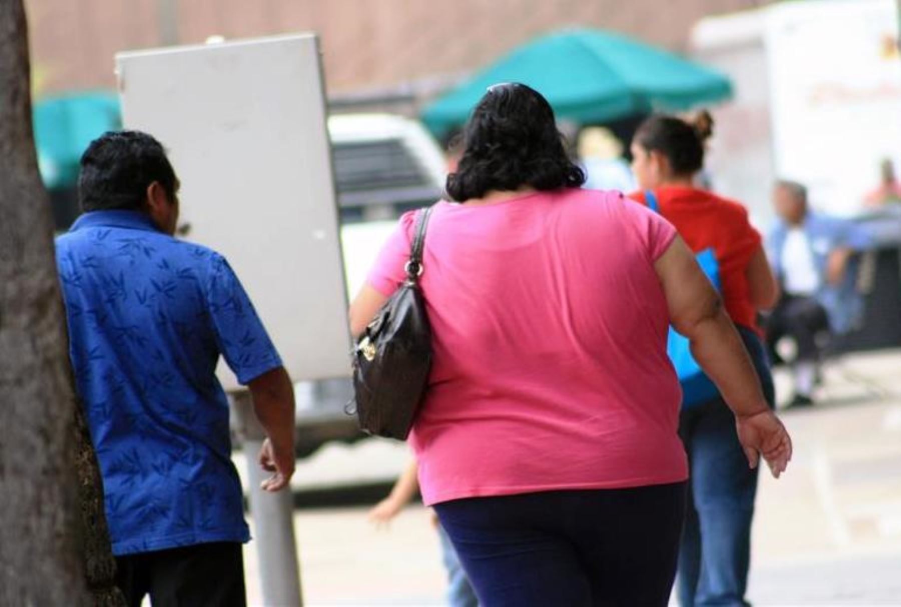 Advierten sobre los peligros del sobrepeso por mala alimentación.Foto: ANDINA/Difusión