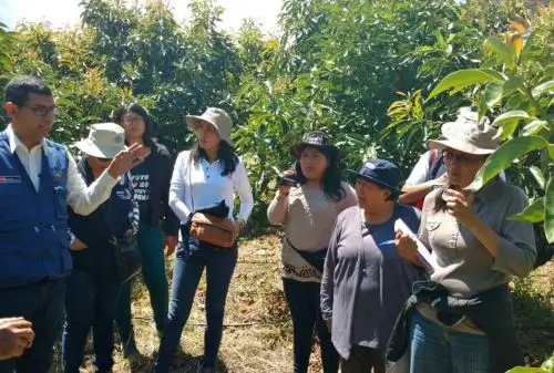 Institución agropecuaria de Chile conoció experiencia de Sierra y Selva Exportadora en cuatro regiones del Perú.