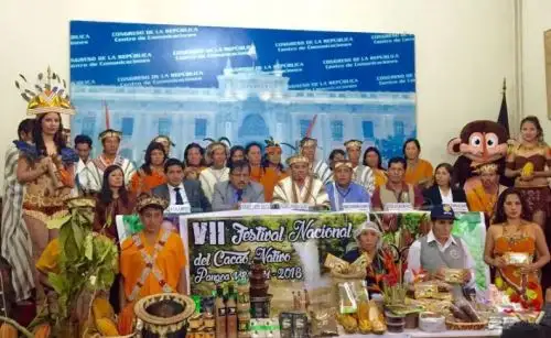 Del 16 al 18 de setiembre se realizará el VII Festival del Cacao Nativo Pangoa Vraem 2016, en la Plaza Cívica de Pangoa, en la provincia de Satipo, región Junín, lo que permitirá dar a conocer lo mejor de la producción y productos con valor agregado derivados de este importante cultivo.