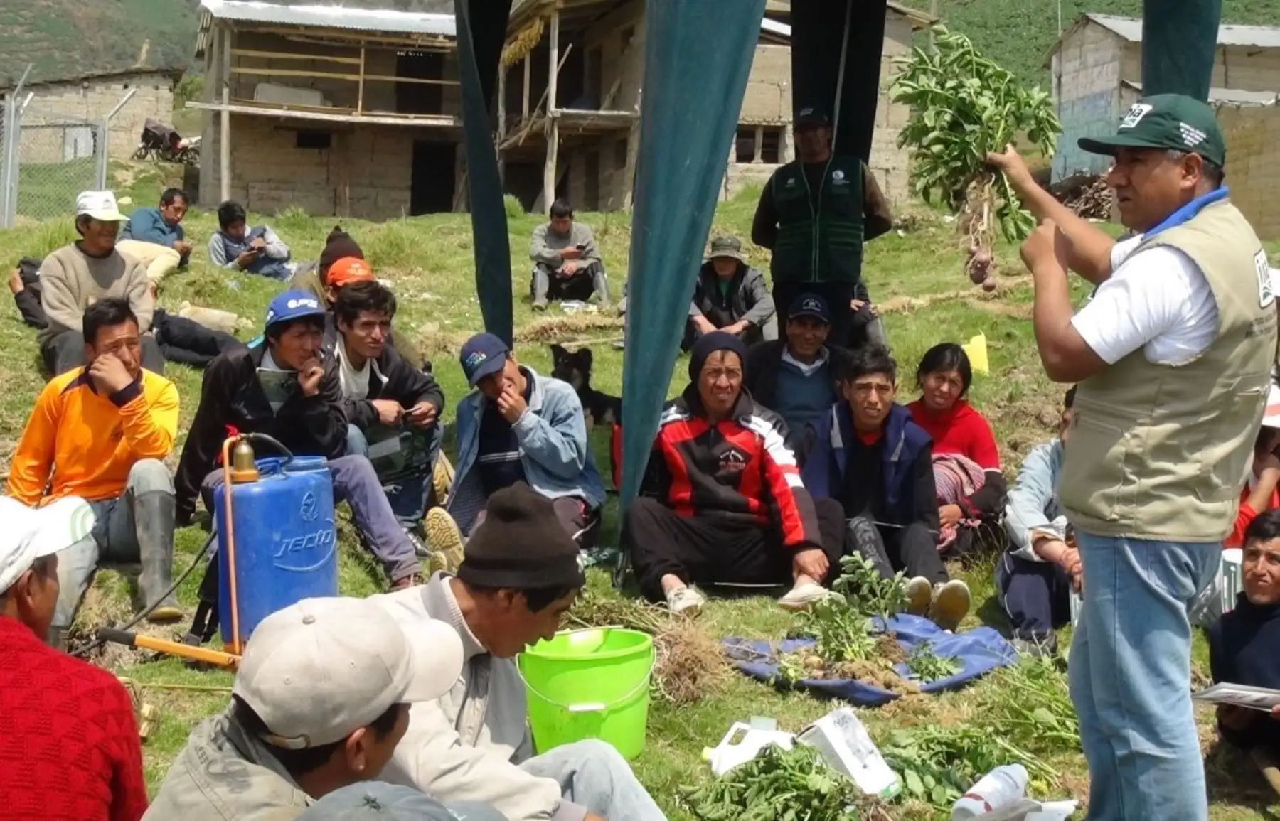 Productores de papa de Junín se benefician con campaña sanitaria del INIA. ANDINA/Pedro Tinoco