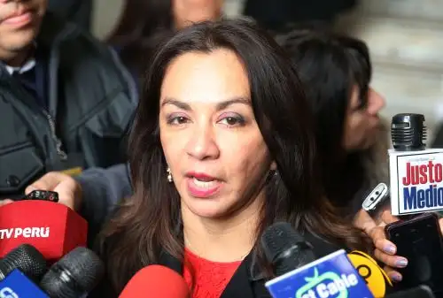 Foto: ANDINA/Vidal Tarqui.