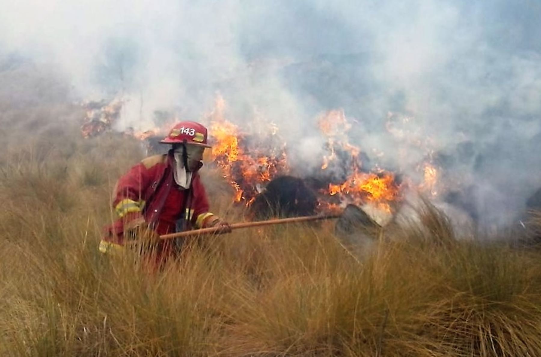 Brigadas controlan incendio forestal en el Santuario Nacional de Ampay, en Apurímac.