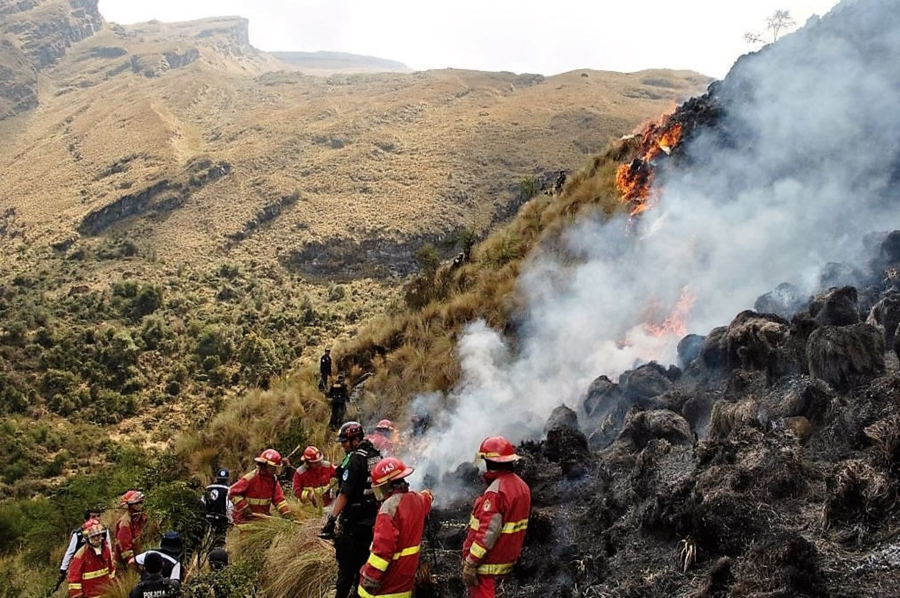 Brigadas controlan incendio forestal en el Santuario Nacional de Ampay, en Apurímac.