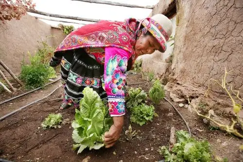 Comunidades campesinas de Arequipa se adaptarán al cambio climático. ANDINA/Archivo