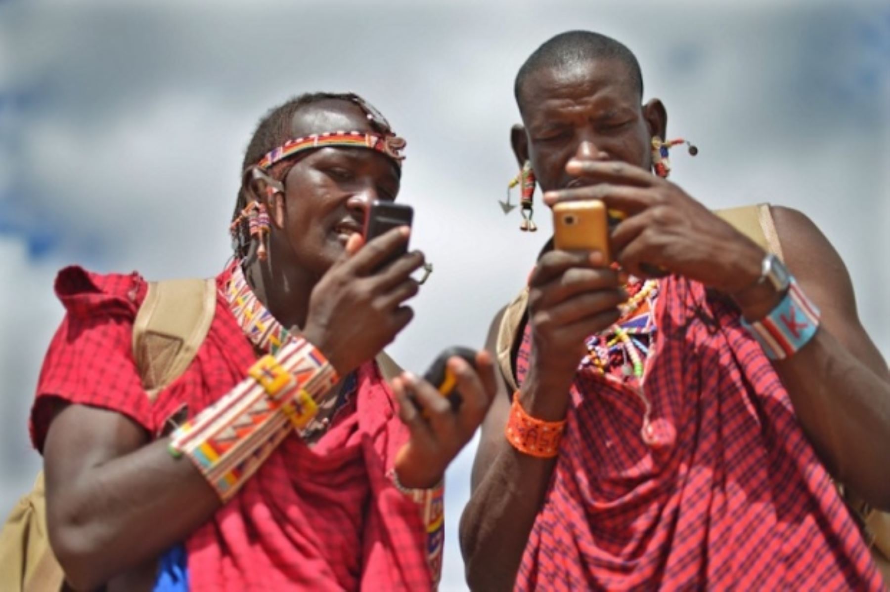 Los masai usan las coordenadas del GPS para localizar a dos leonas jóvenes. Foto: AFP