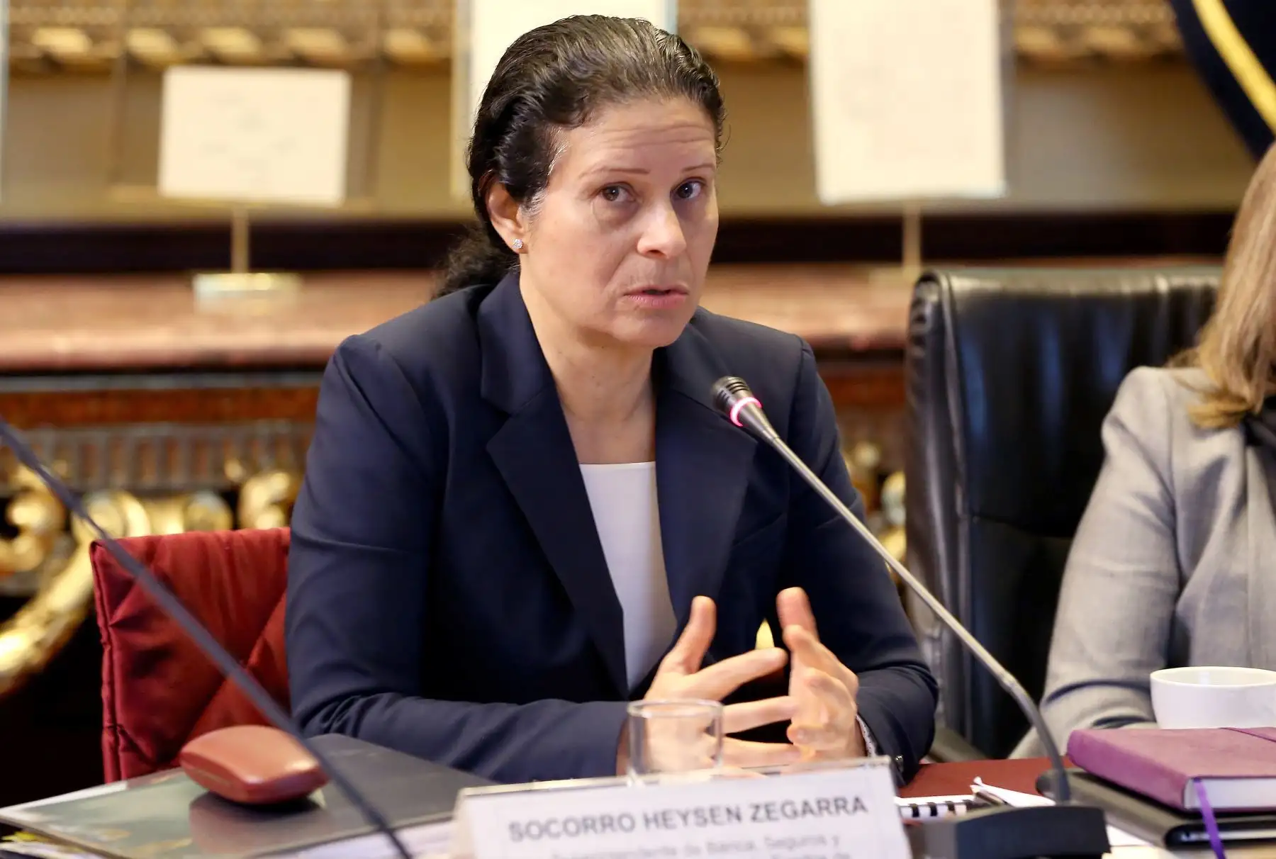 Jefa de la SBS, María del Socorro Heysen, se presentó en la comisión de Economía del Congreso de la República.