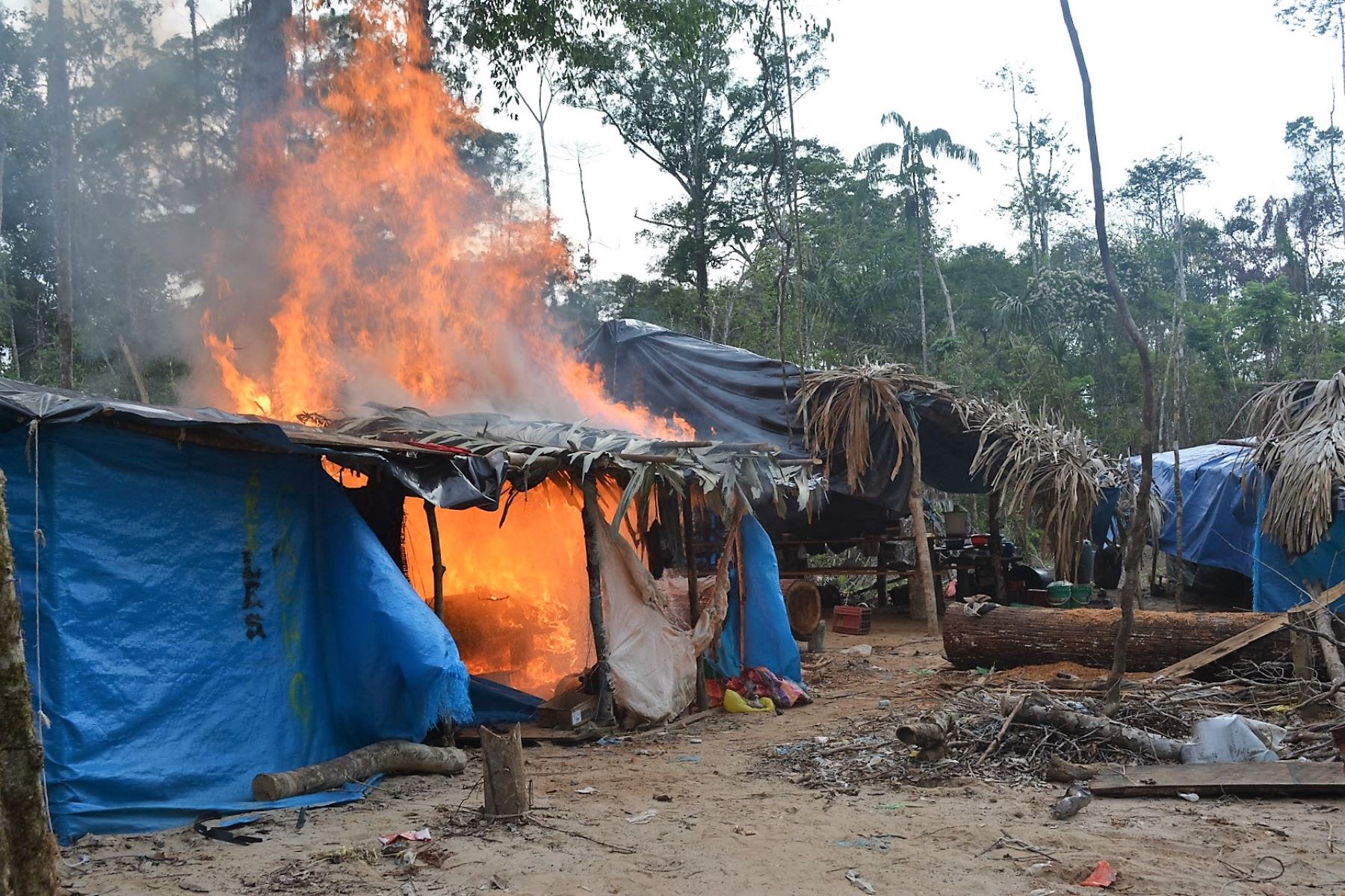 Autoridades destruyen balsas y campamentos mineros ilegales en Reserva Nacional Tambopata, en Madre de Dios.