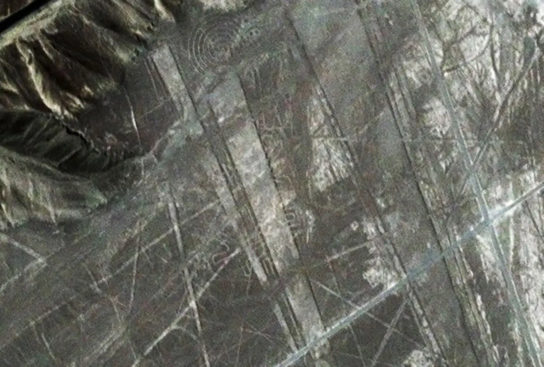 Imagen de las Líneas de Nasca captada por el primer satélite peruano PerúSAT-1, puesto en órbita desde el 15 de setiembre pasado.