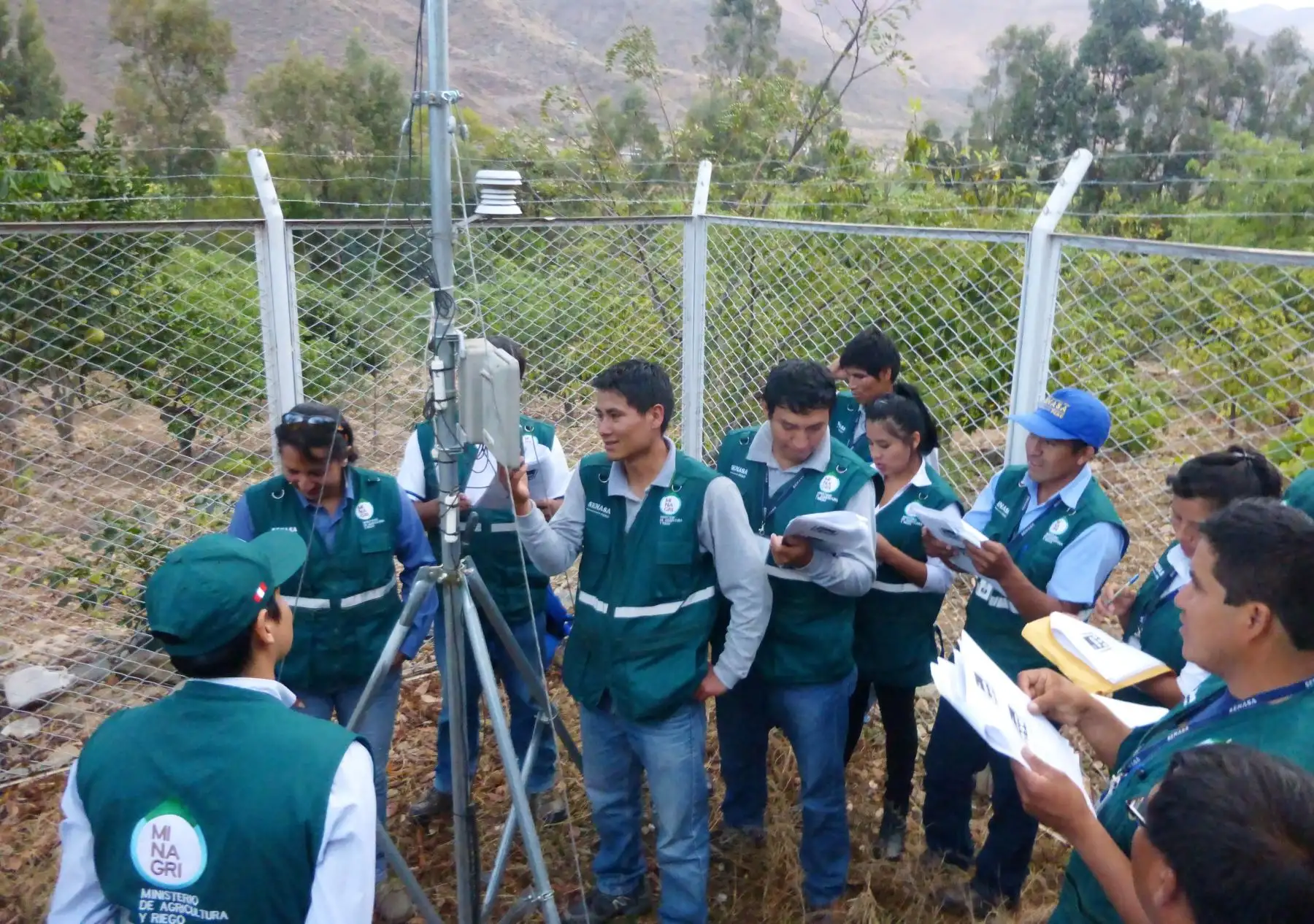 Con herramientas tecnológicas buscan erradicar mosca de la fruta.