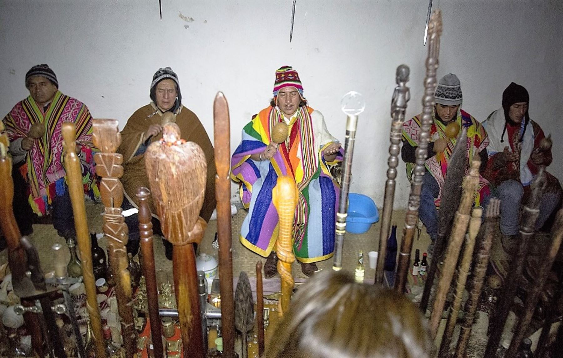 Buscan declarar Patrimonio Cultural conocimientos y usos tradicionales de planta “San Pedro”. ANDINA