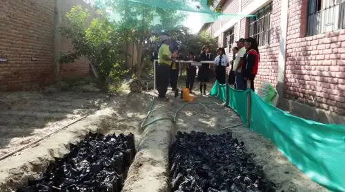 Instalan vivieros forestales en Piura con especies nativas.