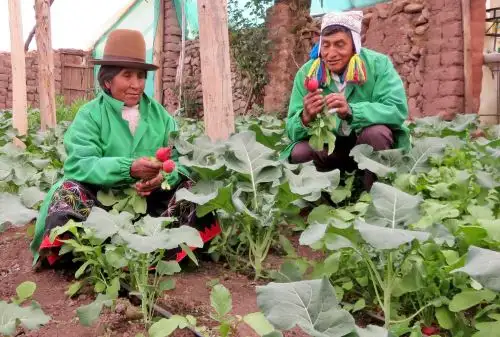 Senasa protege tu tierra.