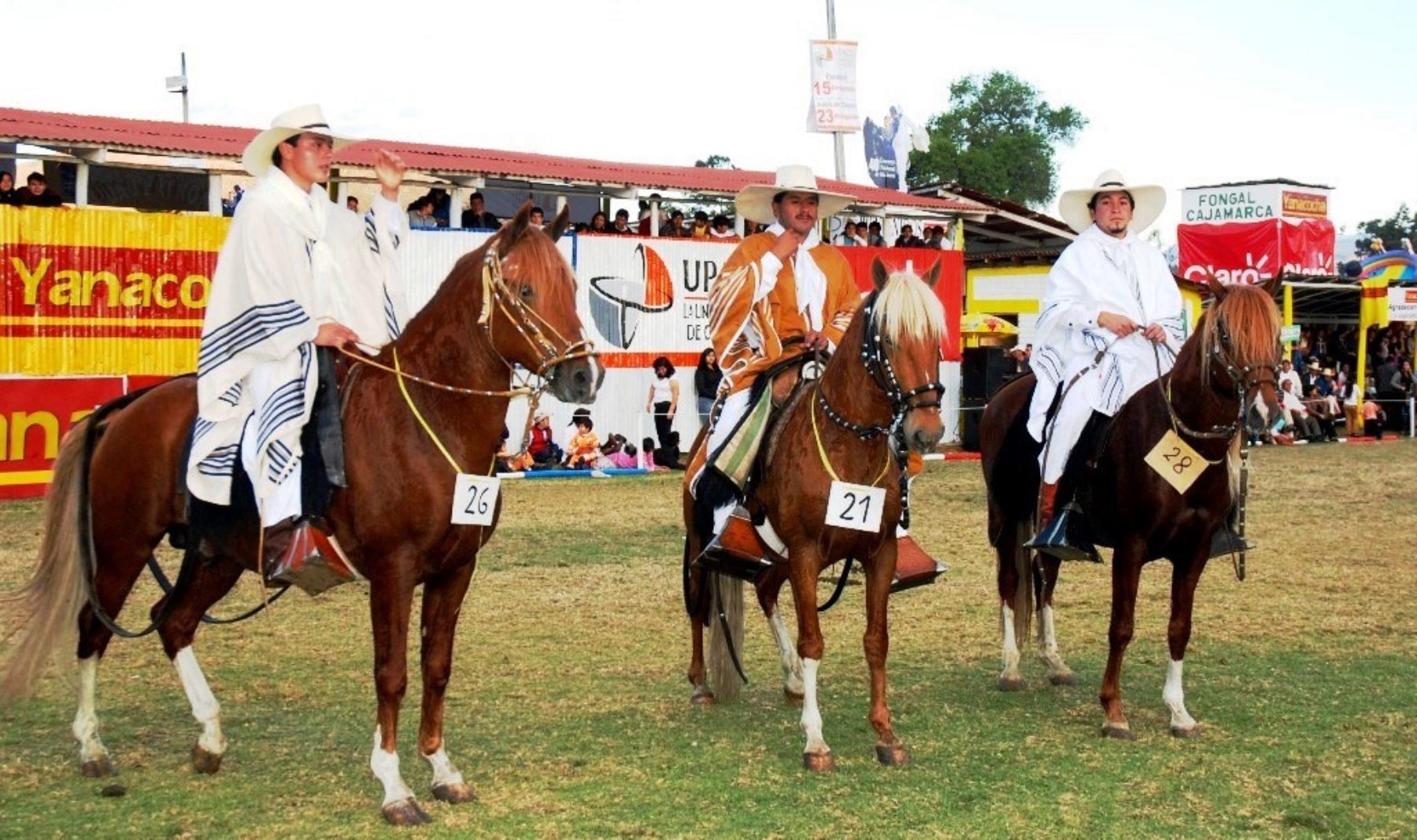 En Feria Ganadera habrá exhibición de caballos de paso peruano. ANDINA