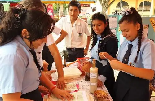 Derivado de cocona representará a San Martín en concurso Crea y Emprende. ANDINA