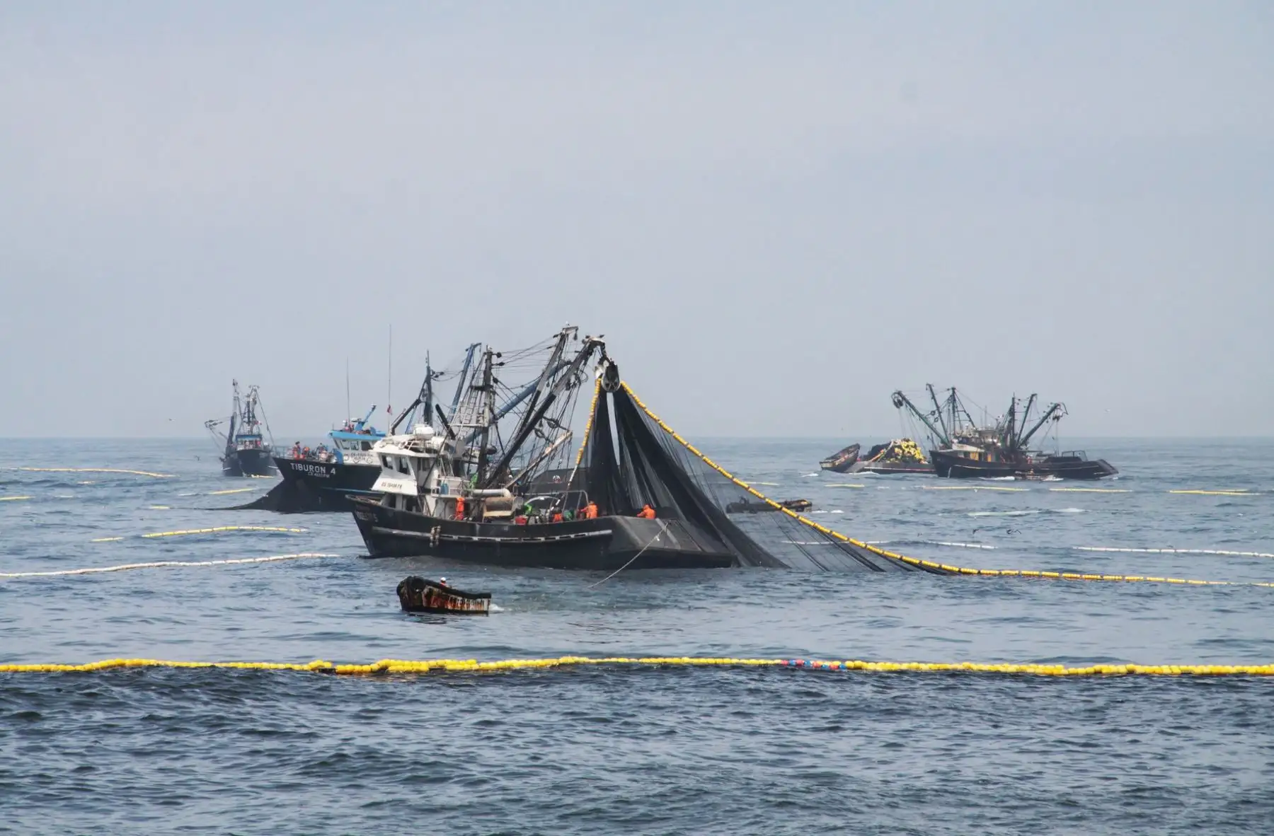 Pesca en el mar peruano.Foto:  ANDINA/Difusión.