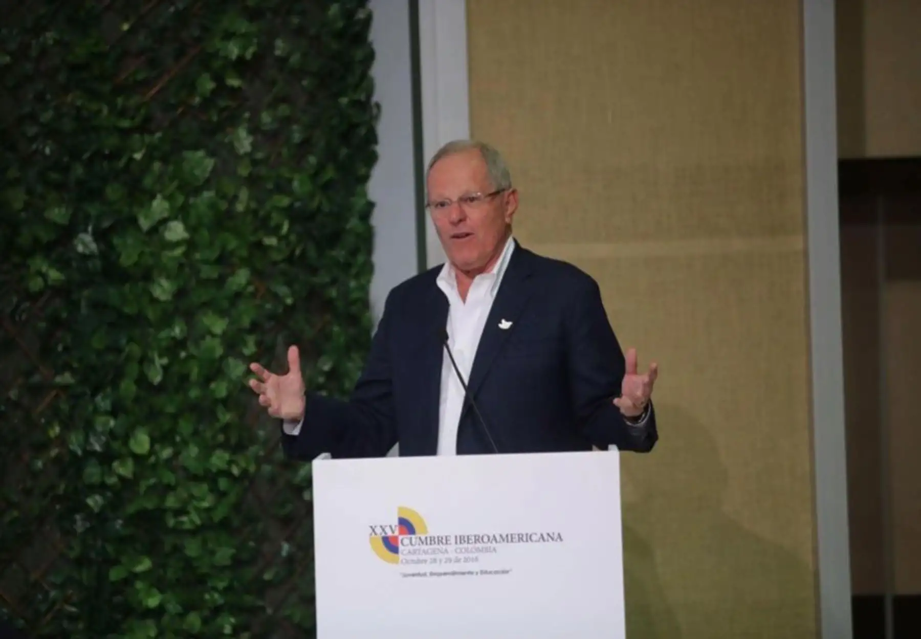 Presidente de la República, Pedro Pablo Kuczynski. Foto: Difusión.