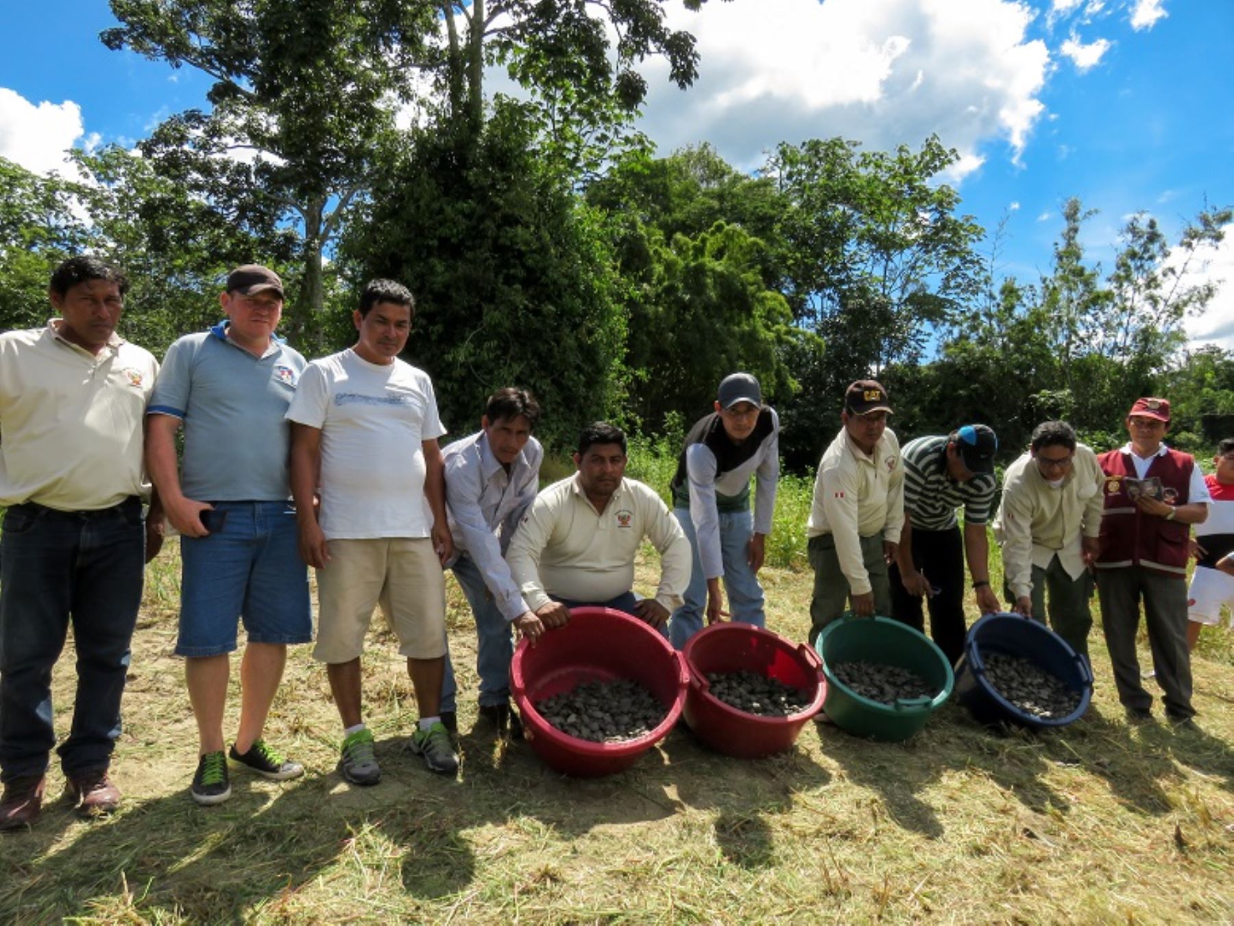 Más de 500,000 taricayas fueron liberadas en la Reserva Nacional Pacaya Samiria, en Loreto.