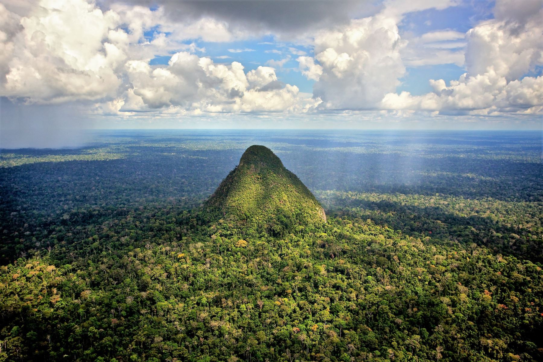 El Parque Nacional Sierra del Divisor celebra su cuarto aniversario de creación como área natural protegida por el Estado, que busca resguardar la Sierra del Divisor que es un complejo montañoso ubicado en pleno llano amazónico. ANDINA/Difusión