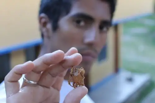 Proyecto “Conservación y Manejo de abejas nativas de América para su aprovechamiento sostenible” de alumnos de la U. Agraria obtiene 2do. lugar en premio "Latinoamérica Verde"