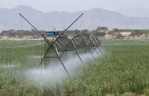 Empresas agrícolas invirtieron más de US$ 750 millones para el desarrollo de la agroindustria en Olmos, Lambayeque. ANDINA/Difusión