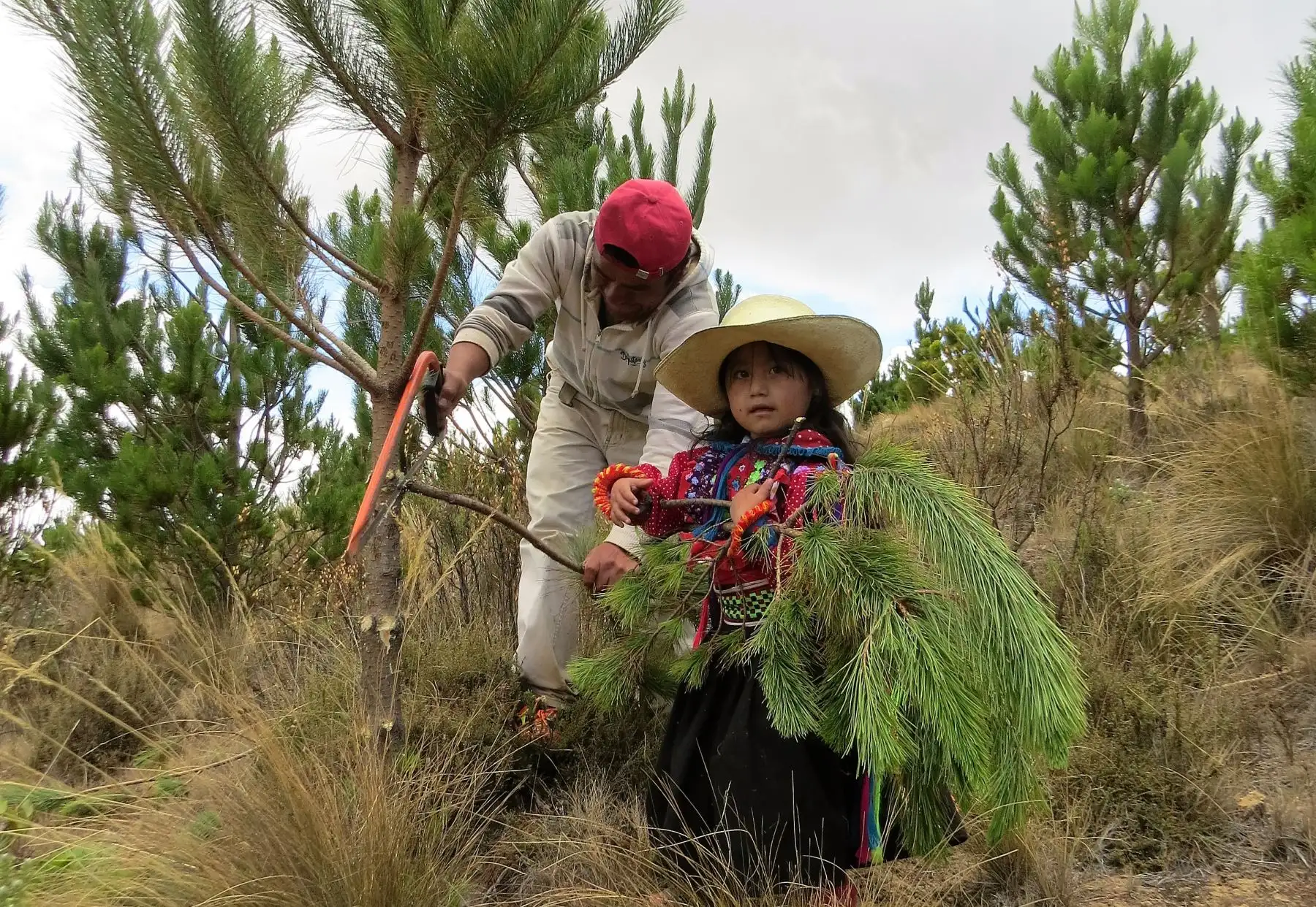 ANDINALa meta al 2021 es lograr un país con conciencia ambiental. ANDINA