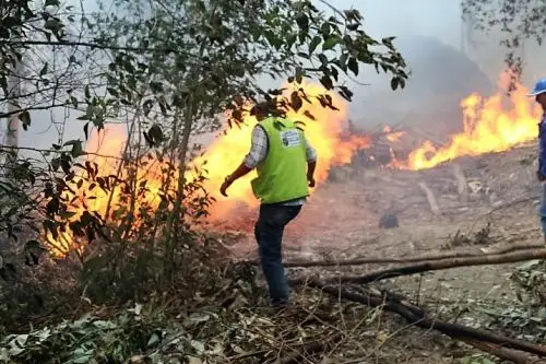 La ausencia de lluvias es el principal factor que favorece la propagación de incendios forestales, reveló el estudio "Condiciones atmosféricas favorables a los incendios forestales en el Perú", elaborado por la Dirección de Meteorología y Evaluación Ambiental Atmosférica del Senamhi. ANDINA/Archivo