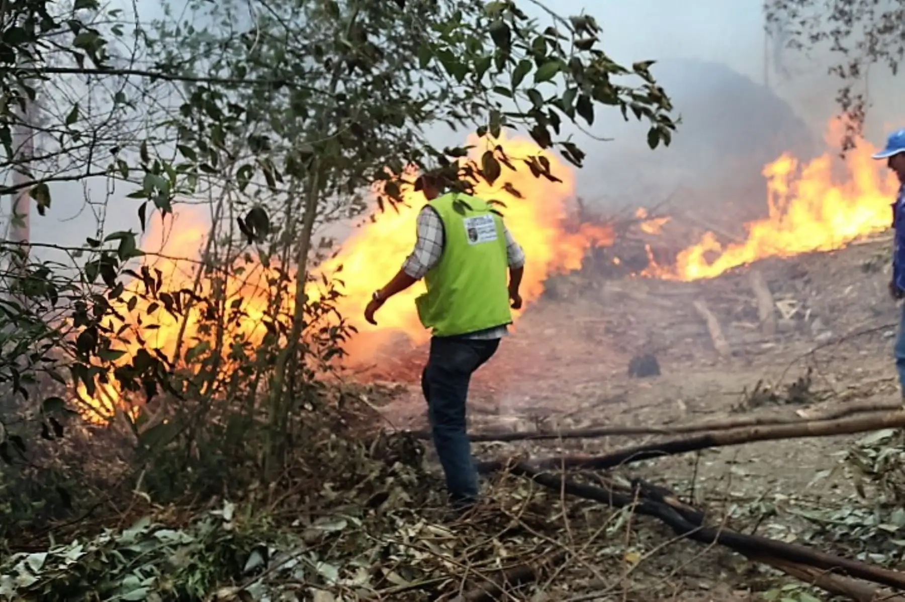 La ausencia de lluvias es el principal factor que favorece la propagación de incendios forestales, reveló el estudio "Condiciones atmosféricas favorables a los incendios forestales en el Perú", elaborado por la Dirección de Meteorología y Evaluación Ambiental Atmosférica del Senamhi. ANDINA/Archivo