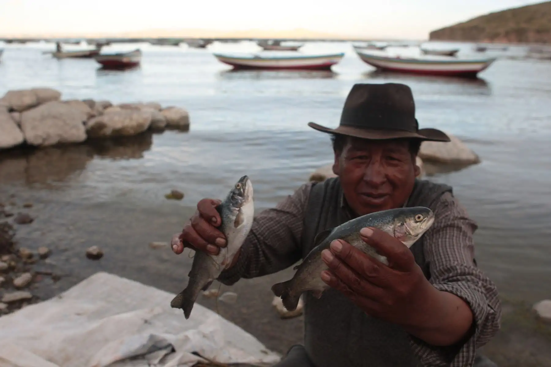 Impulsan desarrollo de acuicultura, pesquería y evaluación de recursos del lago Titicaca. ANDINA/archivo