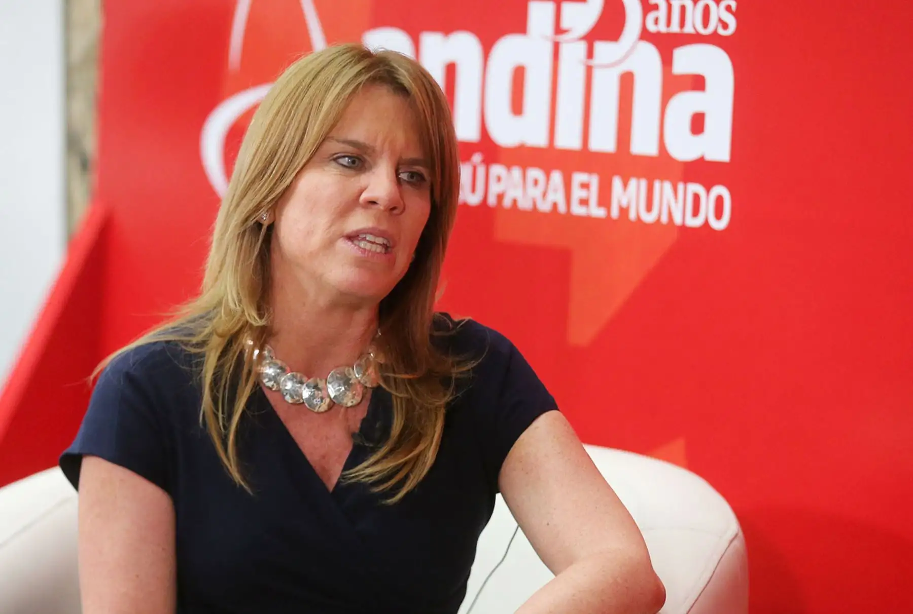 Foto: ANDINA/Vidal Tarqui.