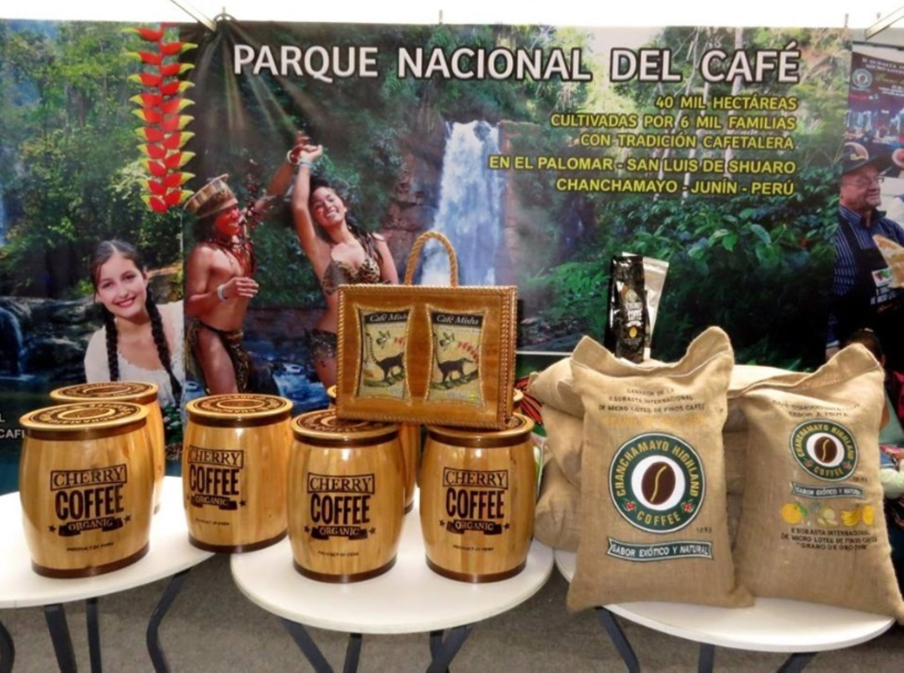 Departamento de Junín lidera las áreas de café a nivel nacional.