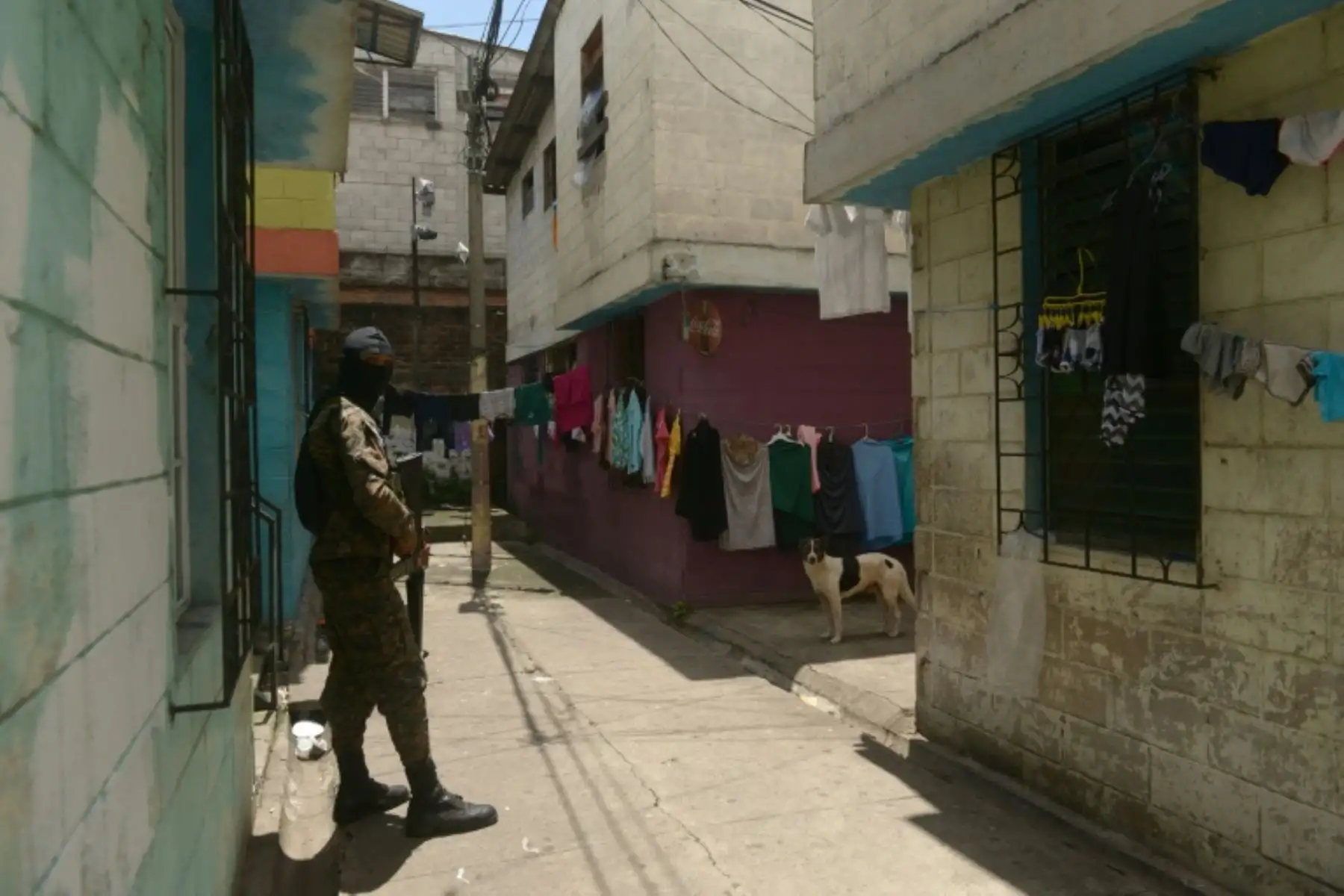 AFP
